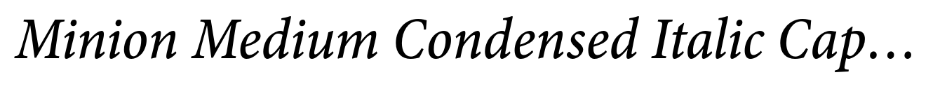 Minion Medium Condensed Italic Caption